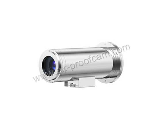 Stainless steel 304 Explosion Proof Camera housing 